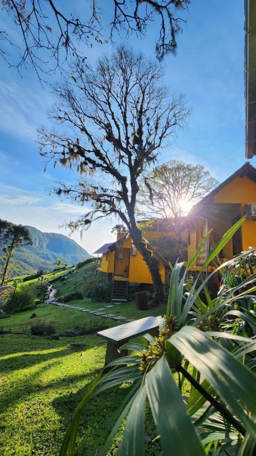 Bugio Da Serra Novo Horizonte (Santa Catarina)