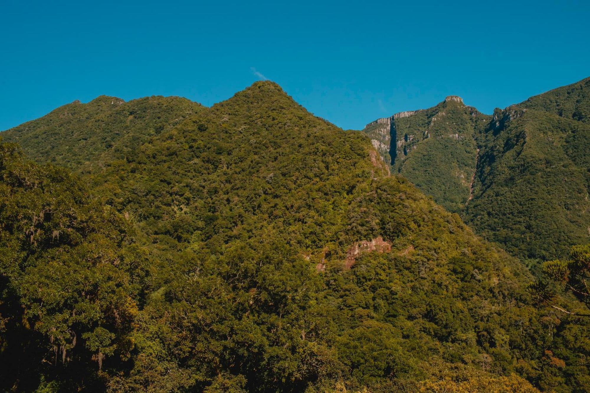 Bugio Da Serra Inn Novo Horizonte (Santa Catarina)